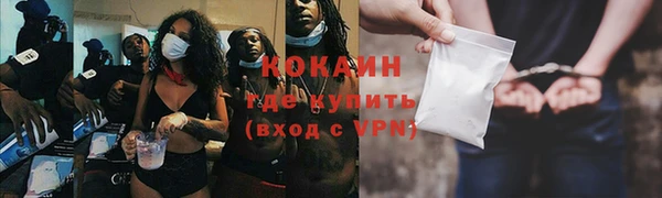 гидра Александровское