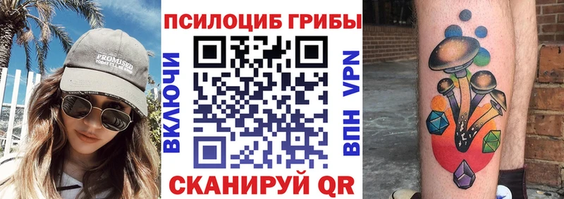 даркнет сайт  Городище  Галлюциногенные грибы мицелий 